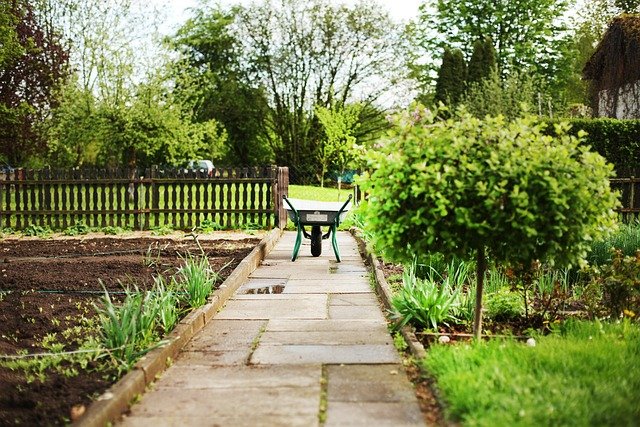 Small Garden