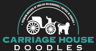 Best dog food for Goldendoodles Virginia