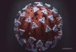 New Coronavirus Strain: Key Details About The Mutant Viral Specimen Found In The U.K.