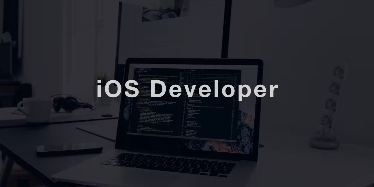 Professional iOS Developer